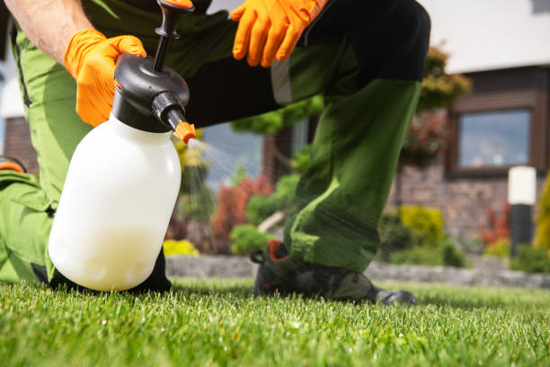 Best Bed Bug Extermination  in Los Ranchos, CA