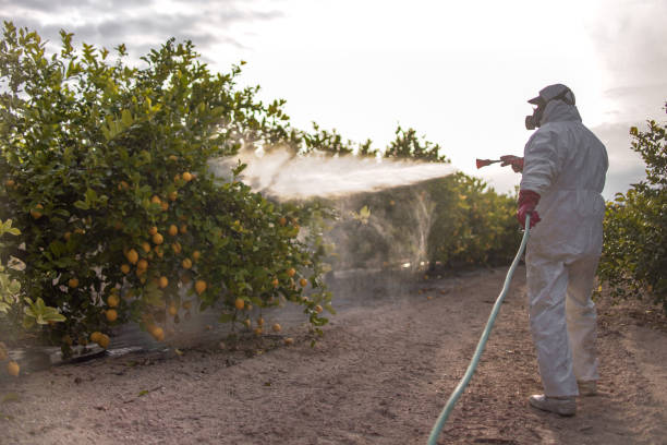 Best Commercial Pest Control Services  in Los Ranchos, CA