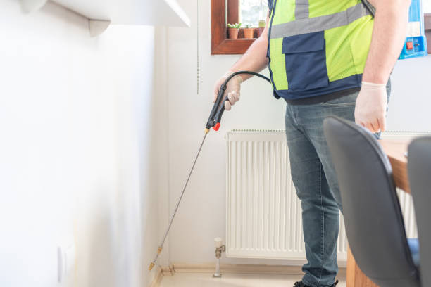 Best Termite Control Services  in Los Ranchos, CA