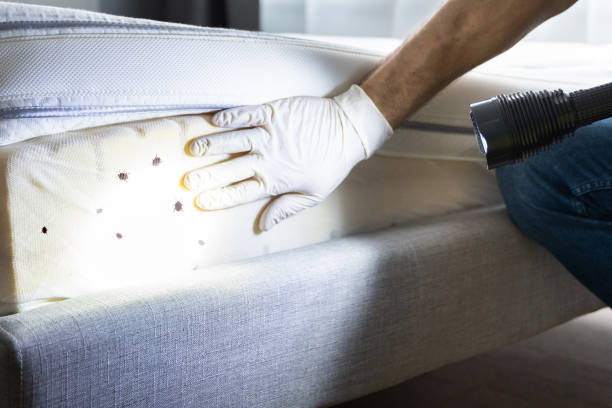 Los Ranchos, CA Pest Control Company
