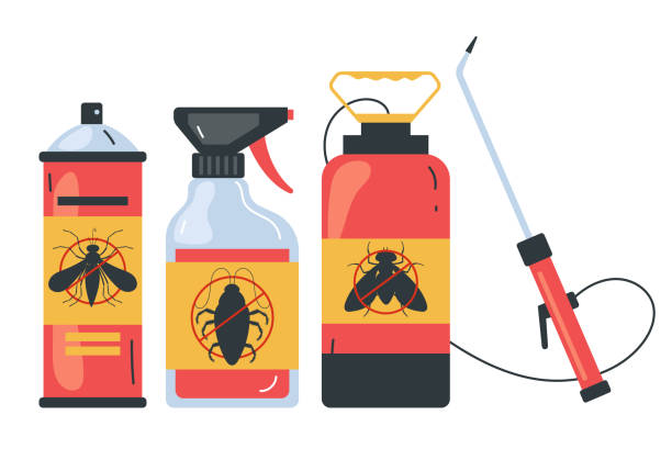 Best Pest Control for Homes  in Los Ranchos, CA
