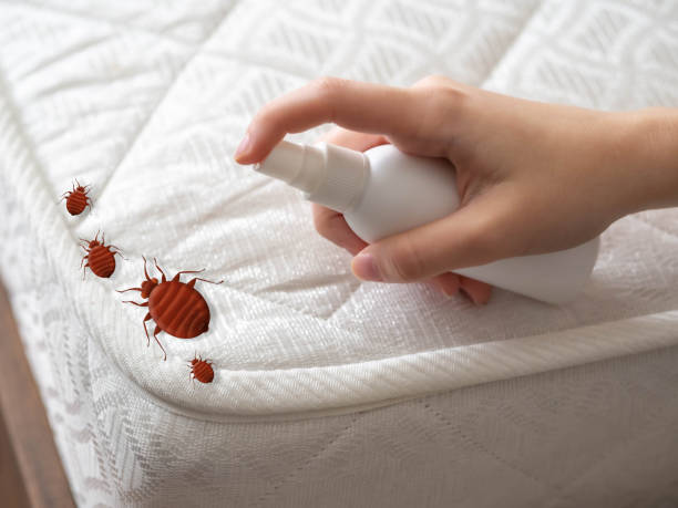 Best Cockroach Control Services  in Los Ranchos, CA