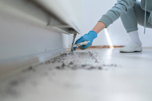 Pest Control Cost in Los Ranchos, CA